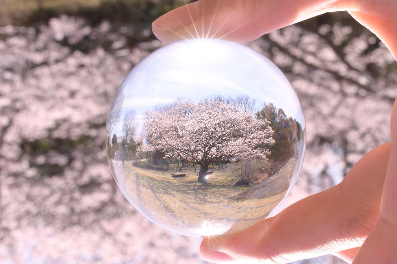 (C)ソニー写真部